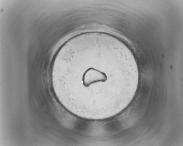 X0000076351514200609291144