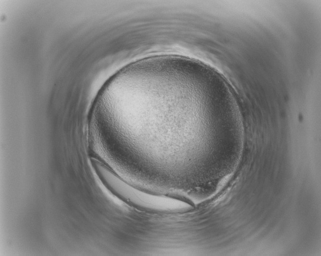 X0000076351519200609291144