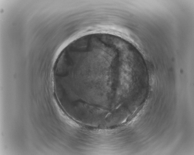 X0000076351522200609291144