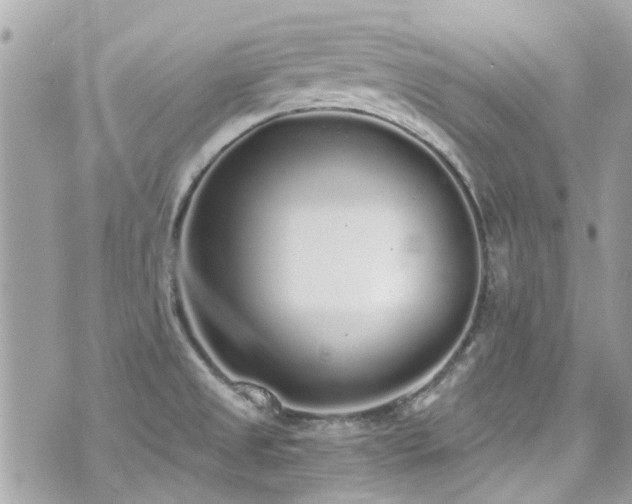 X0000076351525200609291144