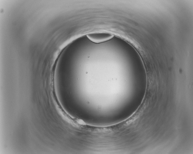 X0000076351526200609291144