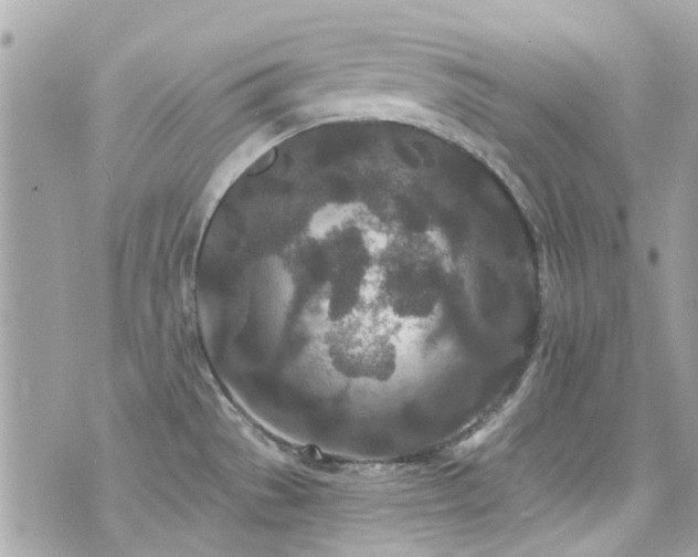 X0000076351529200609291144