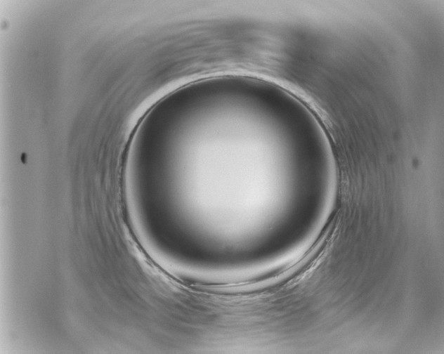 X0000076351534200609291144