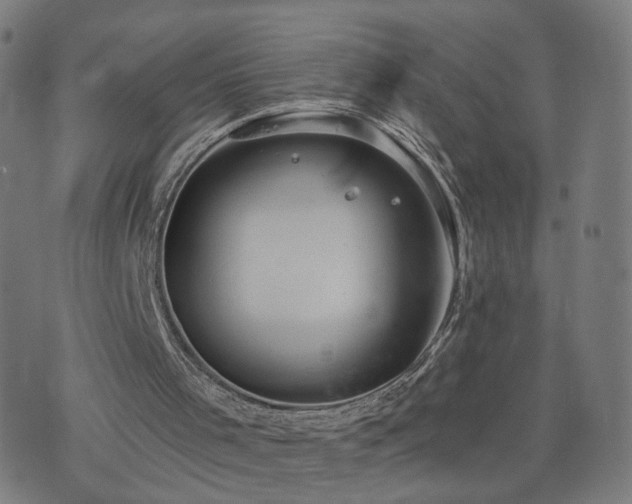 X0000076350001200610061537