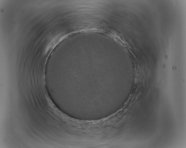 X0000076350002200610061537