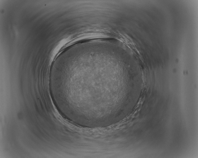 X0000076350003200610061537