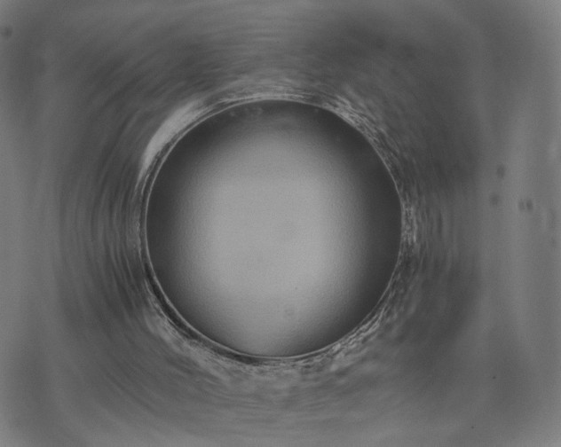 X0000076350004200610061537