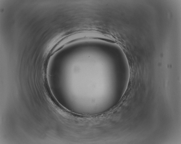 X0000076350005200610061537