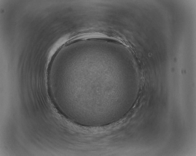 X0000076350006200610061537