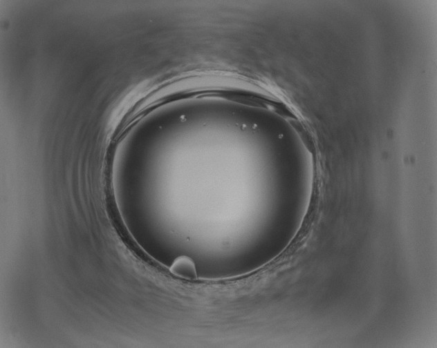 X0000076350007200610061537