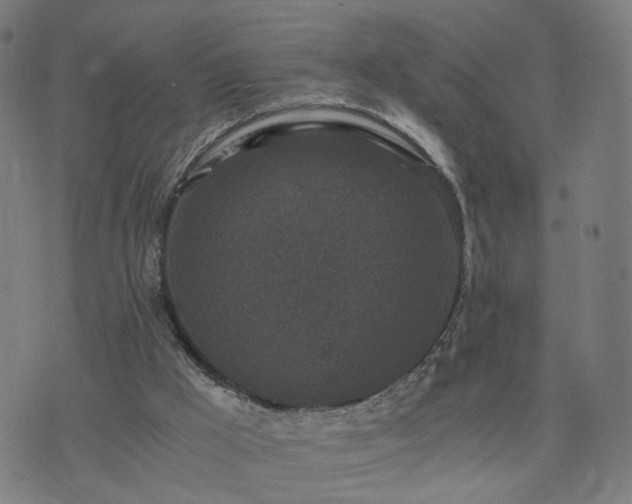 X0000076350009200610061537