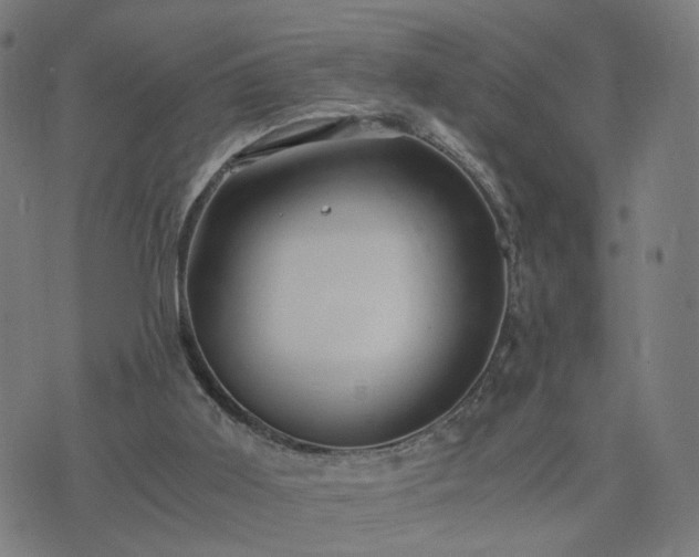 X0000076350011200610061537