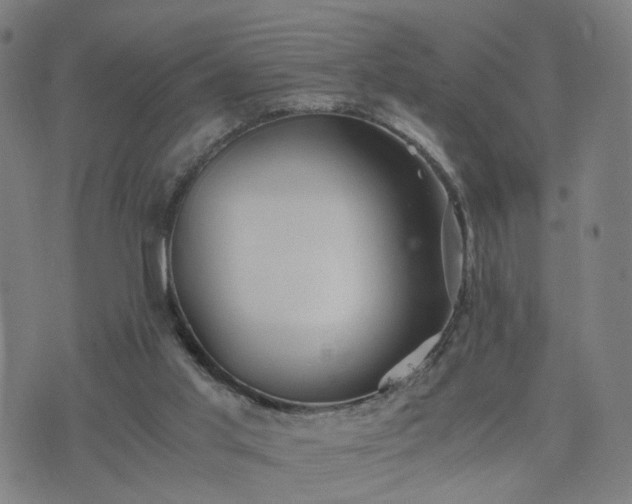 X0000076350013200610061537