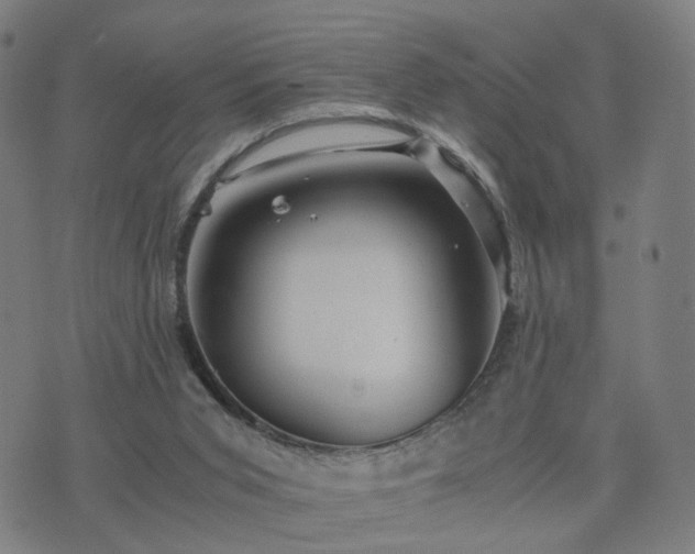 X0000076350015200610061537