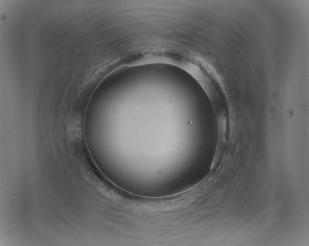 X0000076350017200610061537