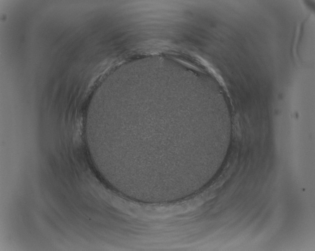 X0000076350018200610061537