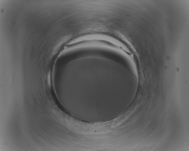 X0000076350019200610061537