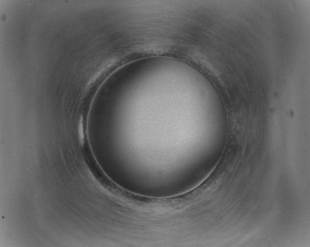 X0000076350020200610061537