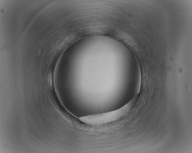 X0000076350021200610061537