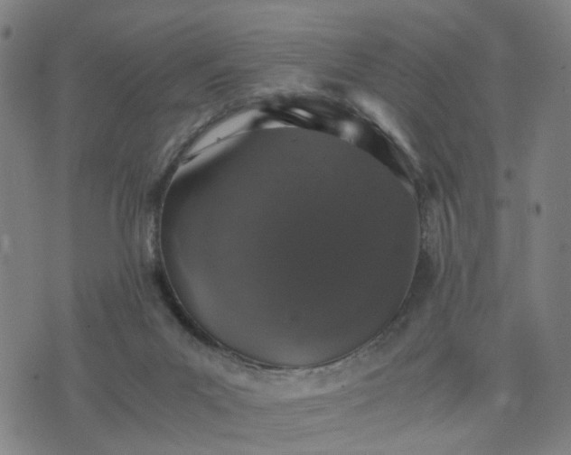 X0000076350023200610061537