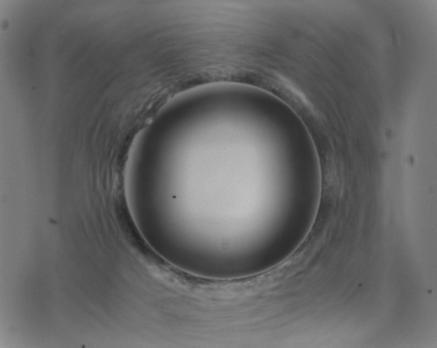 X0000076350025200610061537