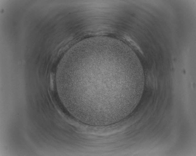 X0000076350026200610061537