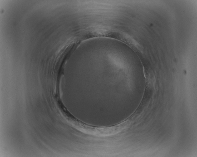 X0000076350027200610061537