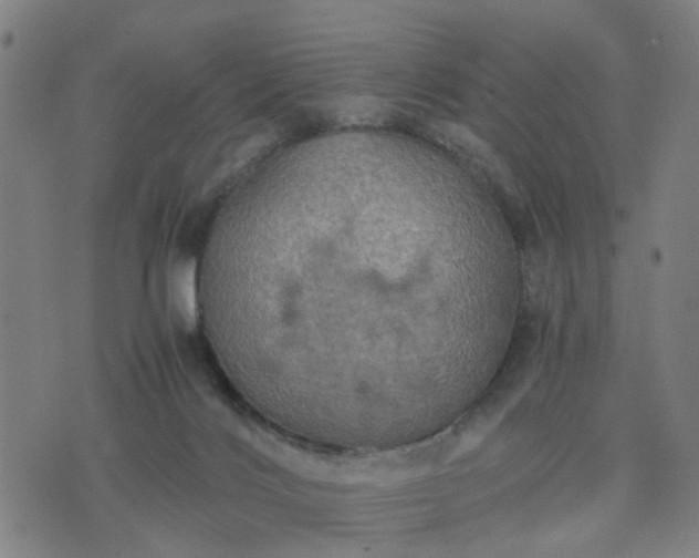 X0000076350028200610061537