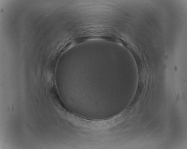 X0000076350031200610061537