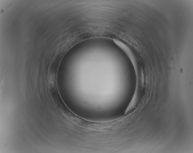 X0000076350033200610061537