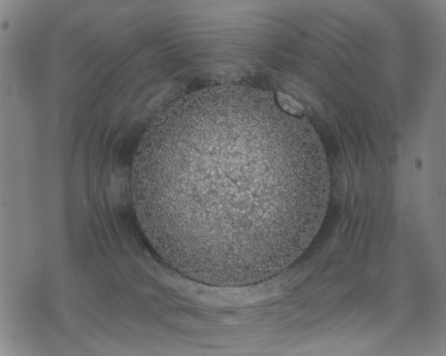 X0000076350034200610061537