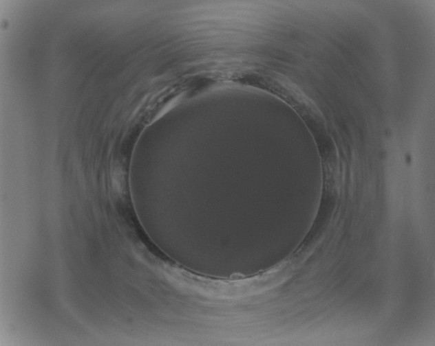 X0000076350035200610061537