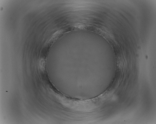 X0000076350036200610061537