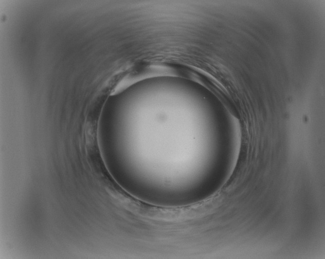 X0000076350037200610061537