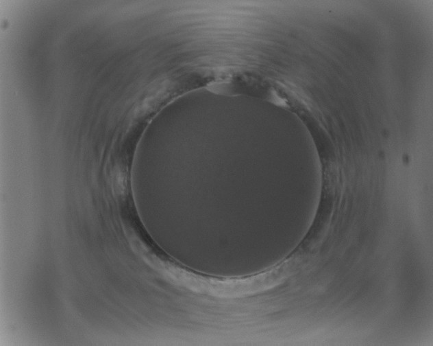 X0000076350039200610061537