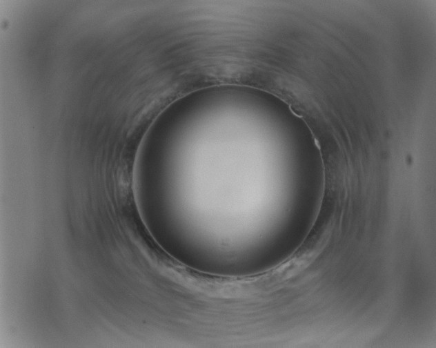 X0000076350040200610061537