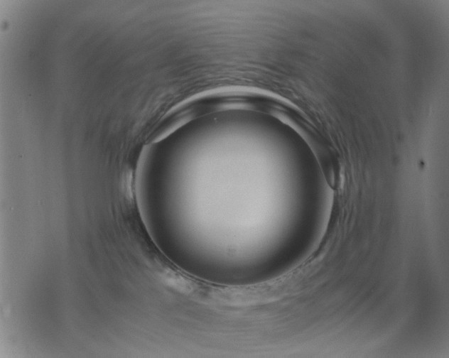 X0000076350041200610061537