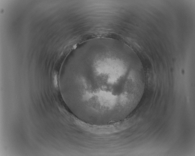 X0000076350042200610061537