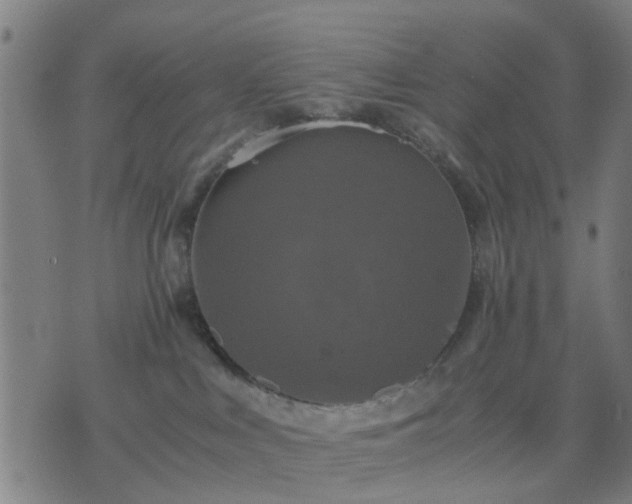 X0000076350043200610061537