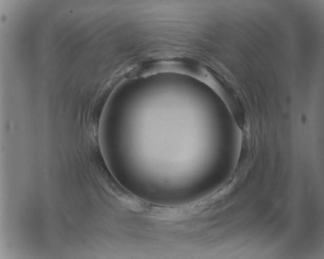 X0000076350045200610061537