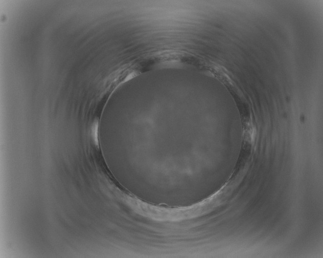 X0000076350047200610061537