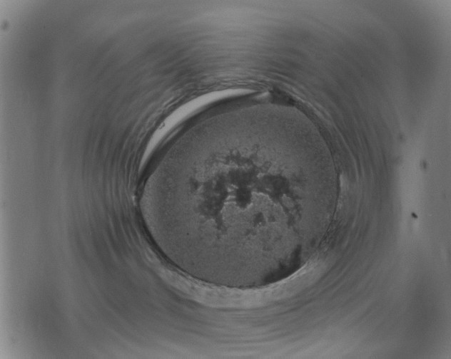 X0000076350048200610061537