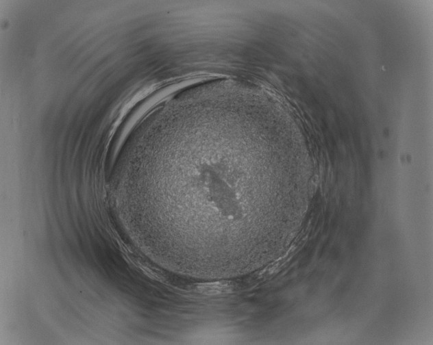 X0000076350050200610061536