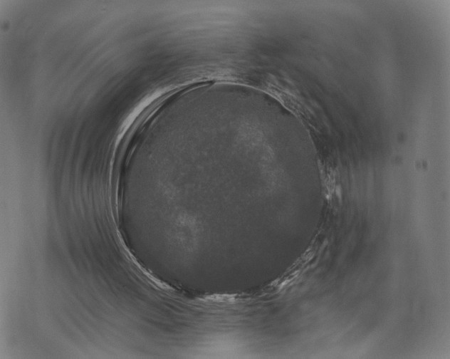 X0000076350052200610061536