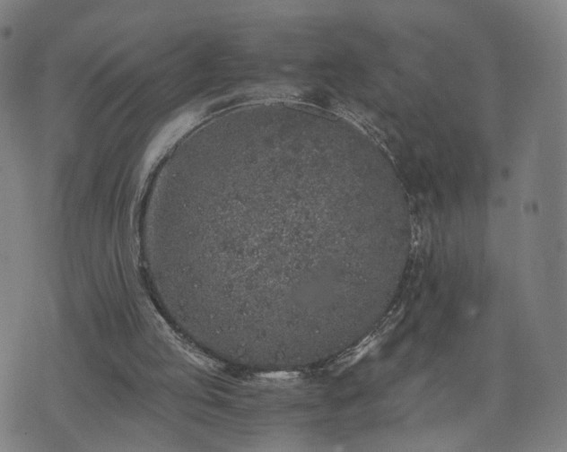 X0000076350053200610061536