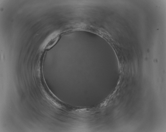 X0000076350054200610061536