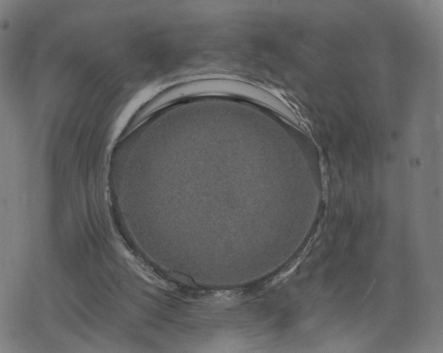 X0000076350056200610061536