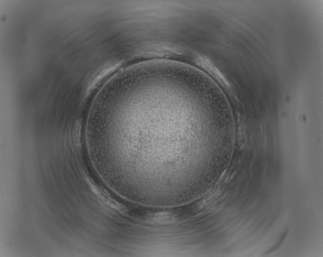 X0000076350058200610061536