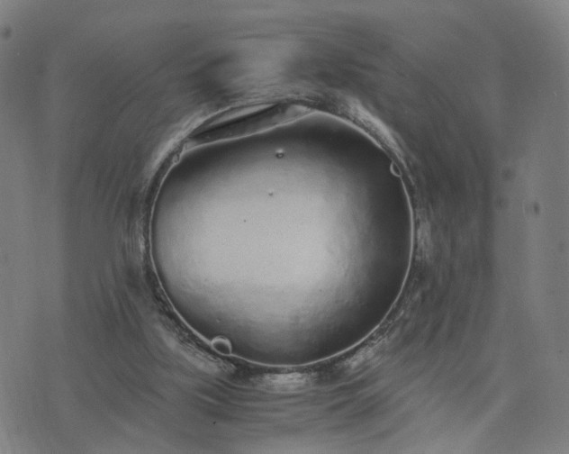 X0000076350059200610061536