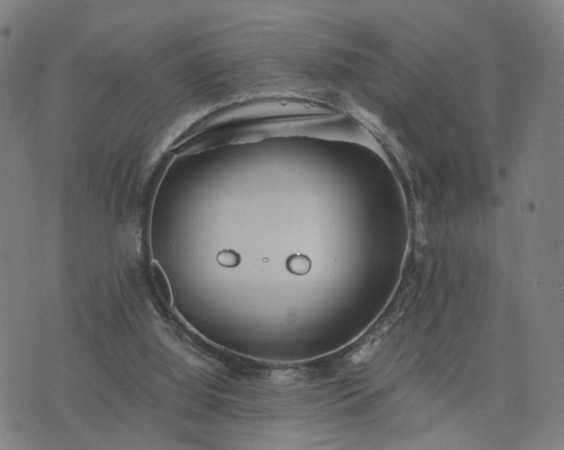 X0000076350060200610061536